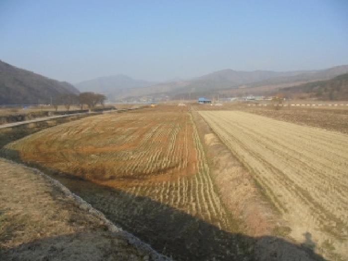 기호(2)전경