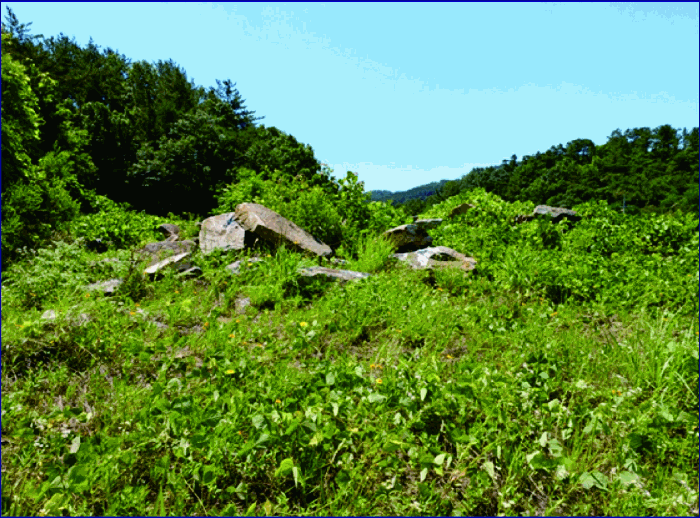 본건 (5) 토지 및 지상 조경석, 축대석