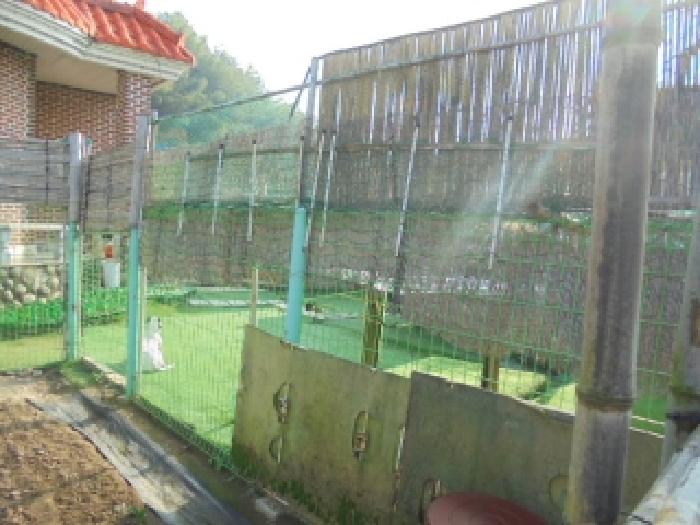 기호(1)지상 제시외건물 수돗가