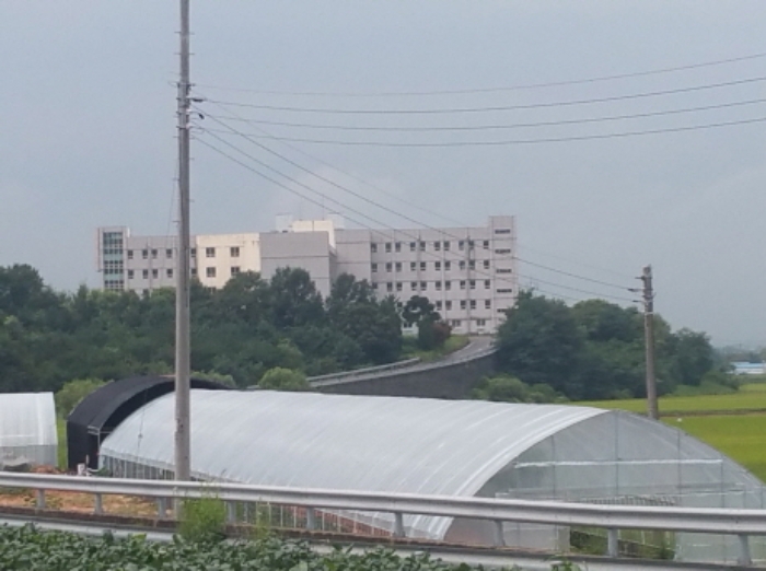 2019타경10346