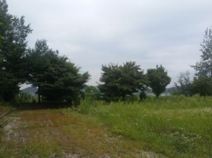 2019타경10346