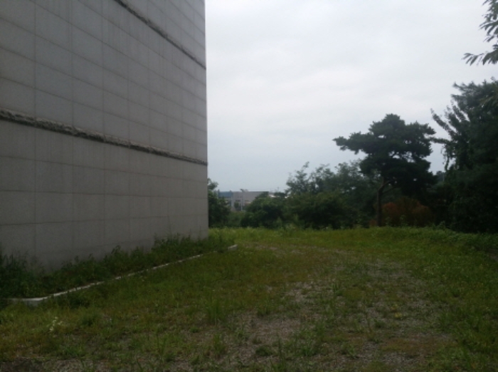 2019타경10346