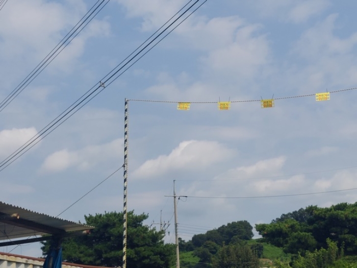 2024타경4529