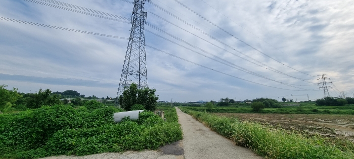 2024타경4529