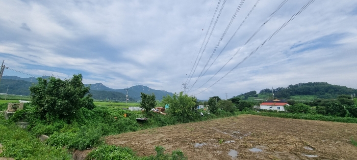 2024타경4529