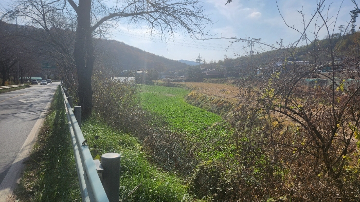 대상물건 전경