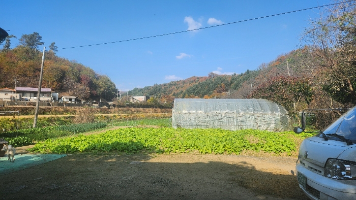 기호(6)