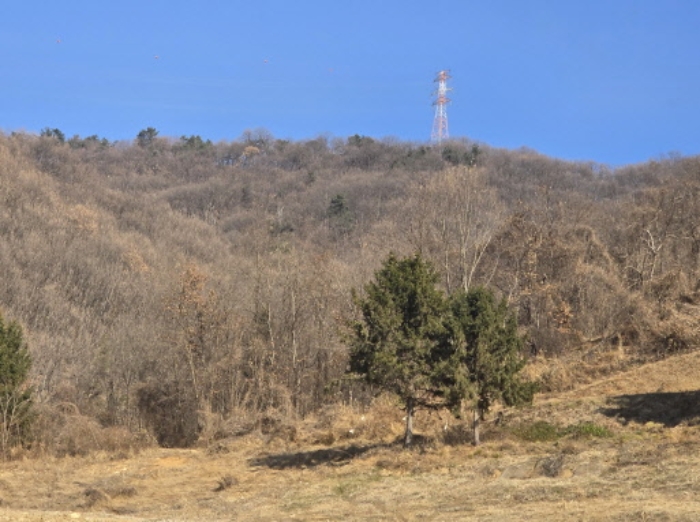 2024타경116897