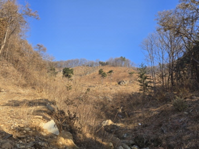 2024타경116897