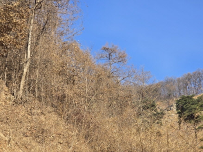 2024타경116897