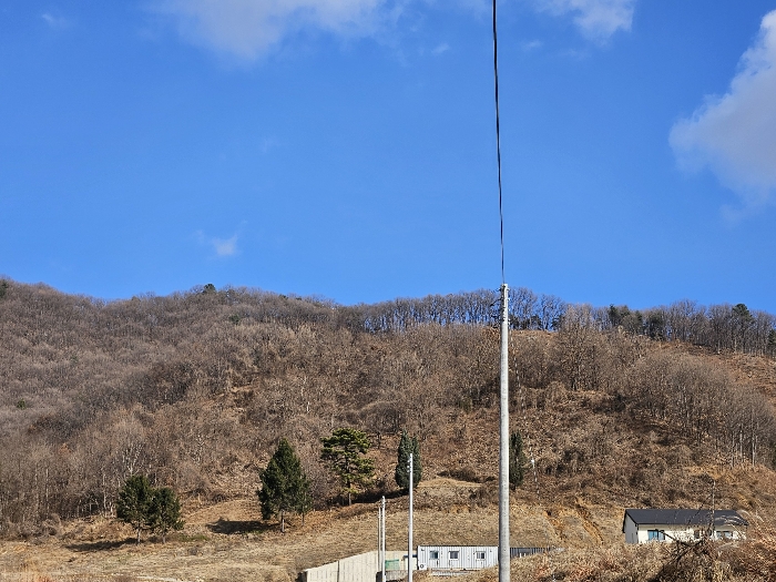 2024타경116897