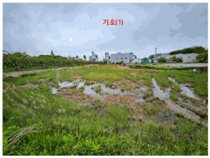2025타경489