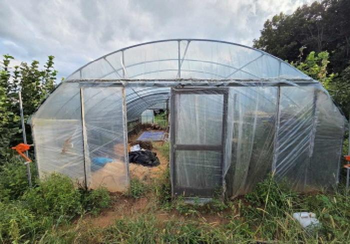 상동