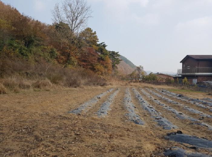 본건 전경(1)