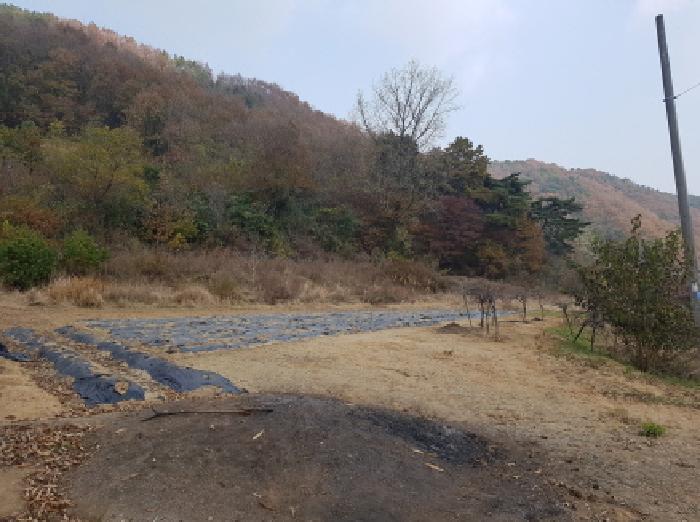 본건 전경(2)