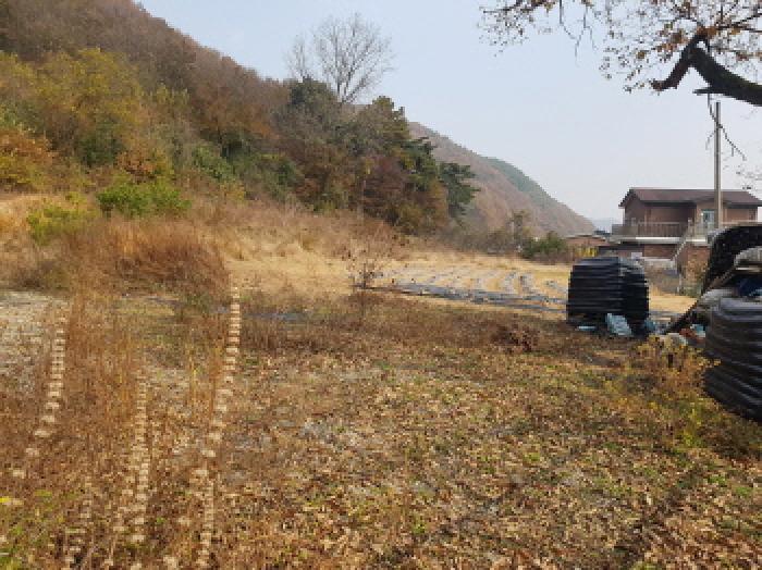 본건 전경(3)