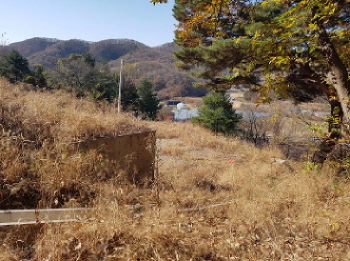 목록1 전경(2)