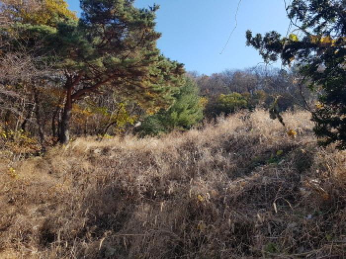 목록3 전경(4)