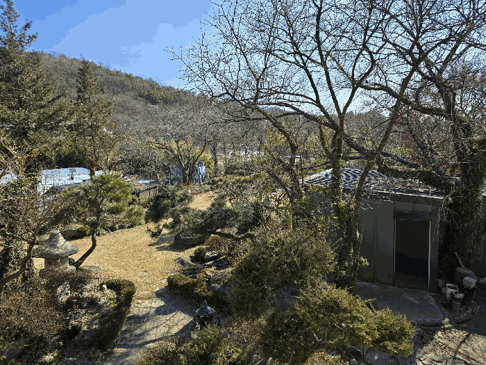 기호 3. 지상 수목 외