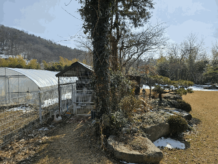 기호 3. 지상 제시외 건물 ㅅ