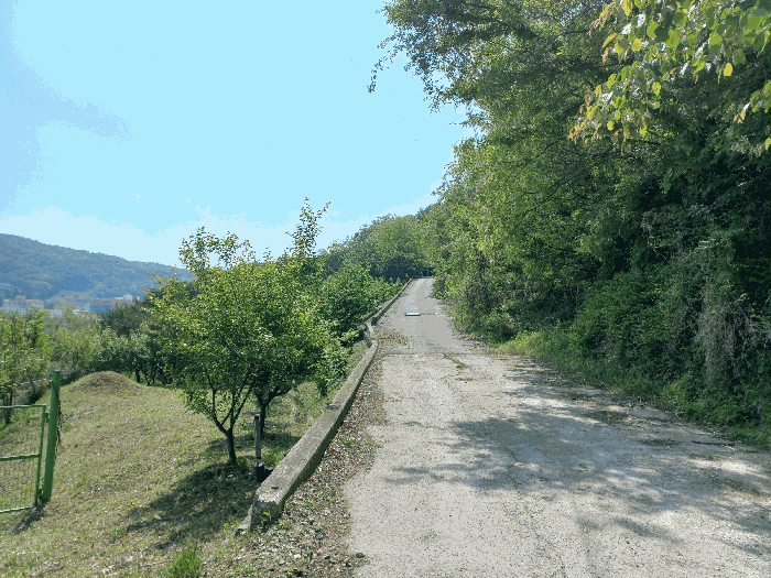 기호(2) 및 진입로 (북측에서 촬영)
