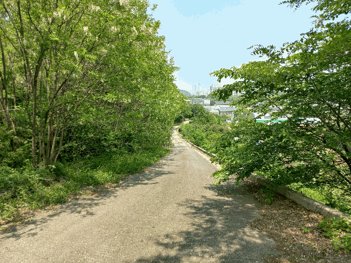 기호(2) 및 진입로 (남측에서 촬영)