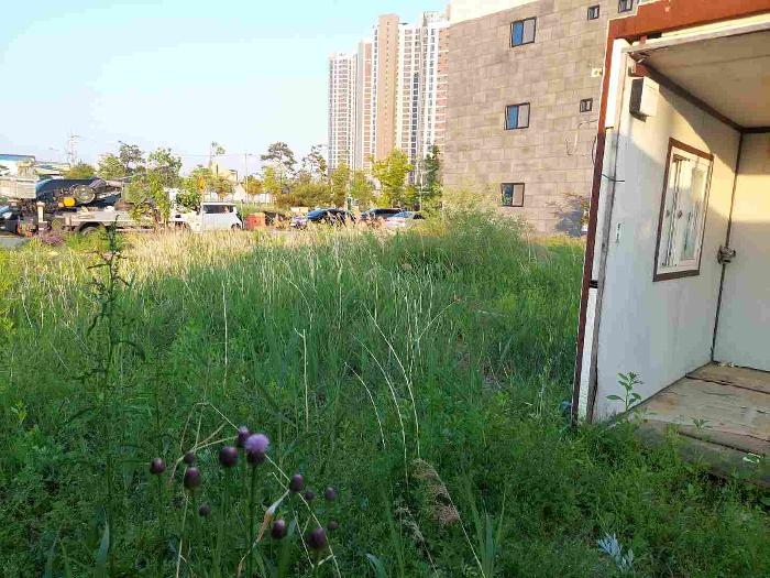 부동산 표시목록 1번 대지 전경