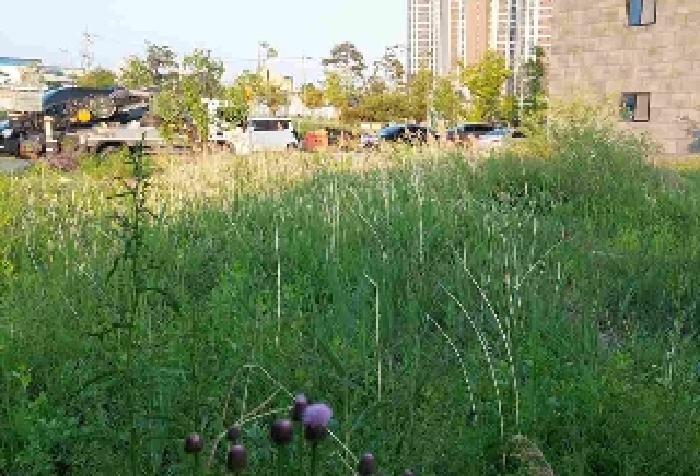 부동산 표시목록 2번 대지 전경