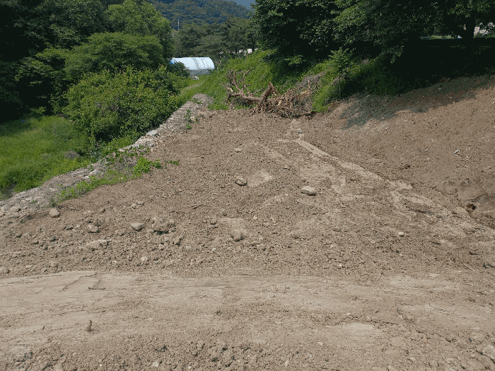 기호(5)
