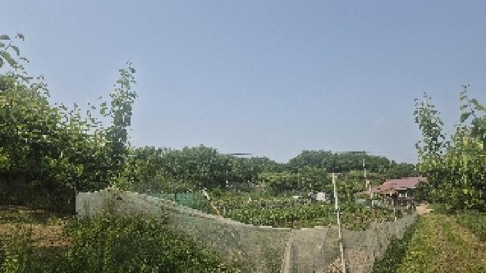 2025타경11771