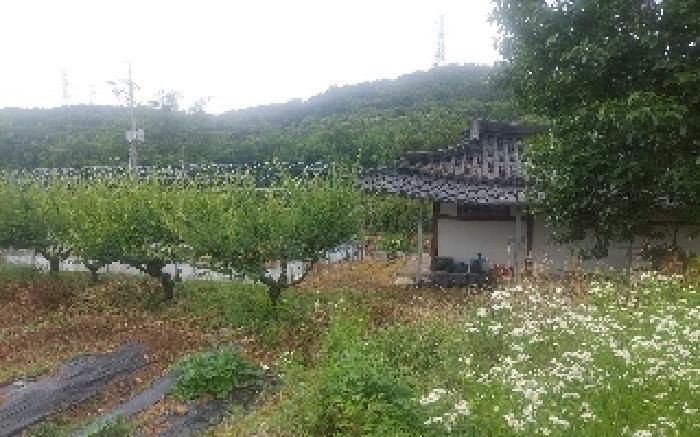 상동