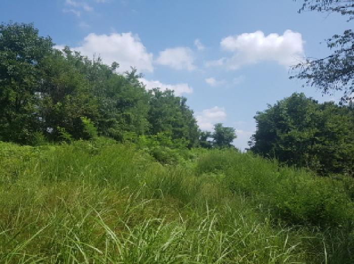 본건 전경(5)