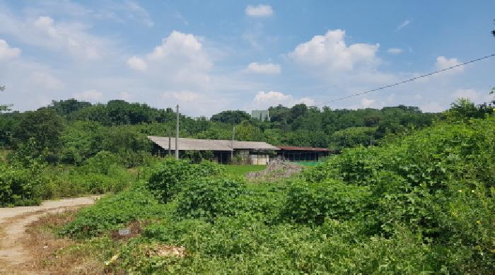원거리 전경