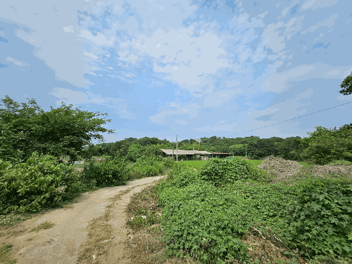 본건 주변전경
