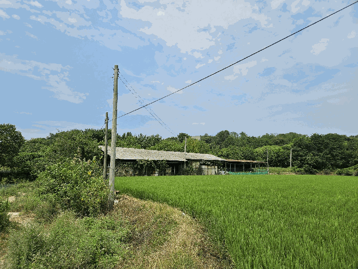 본건 전경1