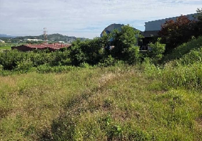 상동
