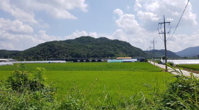 주변 전경