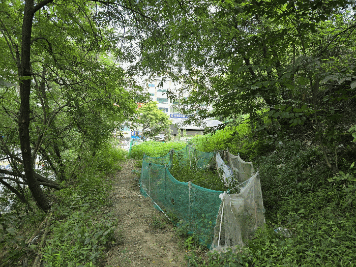 본건