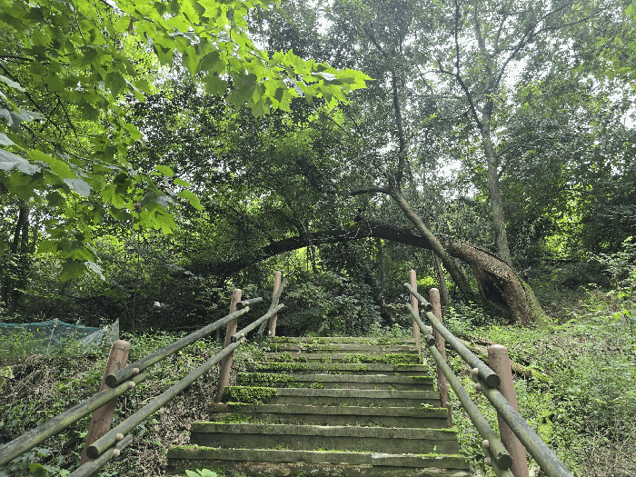 북측에서 바라본 본건