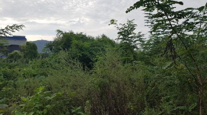 본건 전경(1)