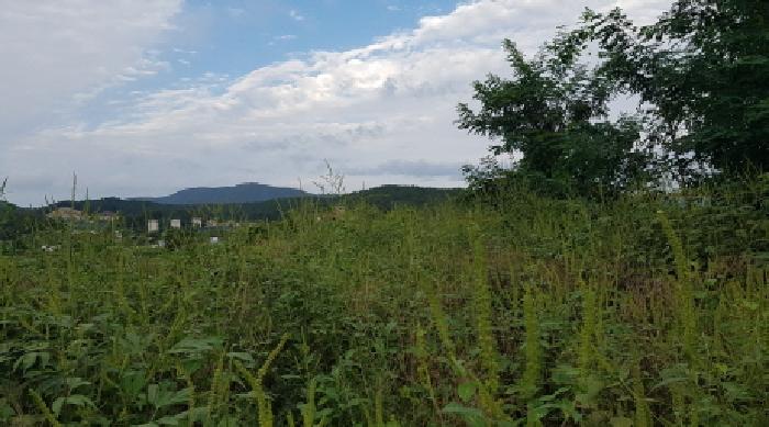 본건 전경(6)