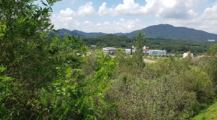 본건 전경(1)