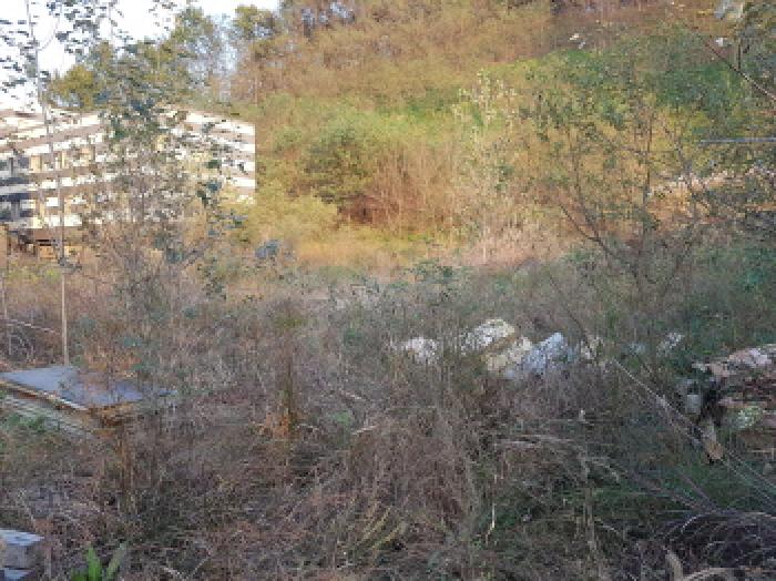 본건 전경(5)