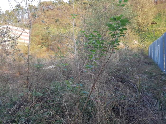 본건 전경(6)