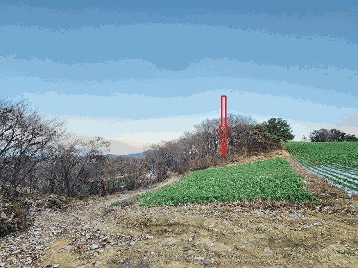【본건 및 인근환경-서측에서촬영】
