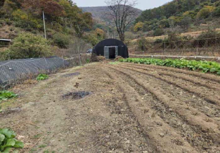 상동(제시외 비닐하우스)