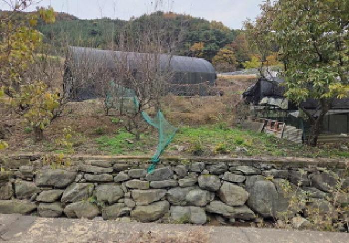 상동