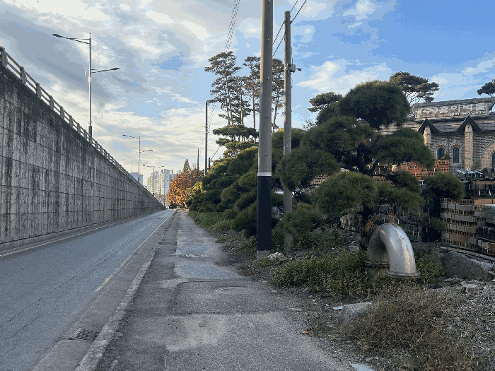 본건 도로