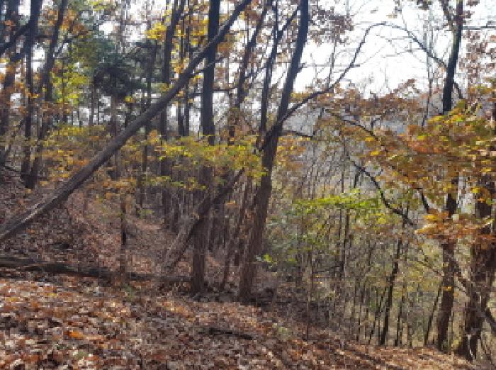 본건 전경(4)