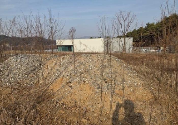 상동